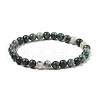 Natural Dioptase Round Beaded Stretch Bracelets BJEW-JB11195-02-1