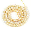 Electroplate Bicone Glass Beads Strands EGLA-T021-6mm-16-05-2