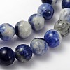Natural Sodalite Beads Strand GSR12mmC013-2