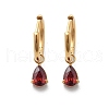 Ion Plating(IP) 304 Stainless Steel Micro Pave Cubic Zirconia Hoop Earrings STAS-R004-05G-01-4