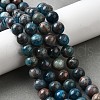 Natural Apatite Beads Strands G-H287-01B-01-5