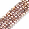 Natural Cultured Freshwater Pearl Beads Strands PEAR-L033-08A-01-1