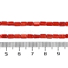 Natural Freshwater Shell Beads Strands BSHE-H109-17D-5