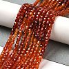 Natural Carnelian Beads Strands G-Q002-C01-02-5