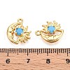 Brass Micro Pave Cubic Zirconia Charms KK-N263-94B-G-3