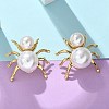 304 Stainless Steel & ABS Plastic Imitation Pearl Spider Stud Earrings EJEW-S253-20G-4