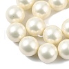 Polished Shell Pearl Round Beads Strands BSHE-XCP0001-17-3