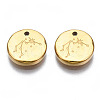 316 Surgical Stainless Steel Charms STAS-S116-418F-G-2