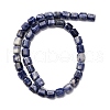 Natural Sodalite Beads Strands G-R015-A03-3