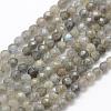Natural Labradorite Beads Strands G-P322-30-4mm-1