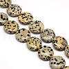 Natural Flat Round Dalmatian Jasper Beads Strands G-L246-11-1