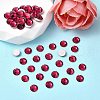 Preciosa® MAXIMA Crystal No Hotfix Flatback Stones Y-PRC-NSS16-90110-2