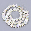Freshwater Shell Beads Strands X-SHEL-N026-07A-2