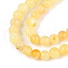 Natural Yellow Amber Beads Strands G-N351-04A-01-3