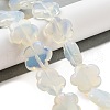Opalite Beads Strands G-F769-E01-02-2