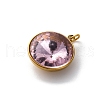 316 Stainless Steel Faceted Glass Pendants STAS-K258-46G-08-2