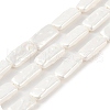 Electroplated Shell Pearl Beads Strands BSHE-C007-C01-01-1