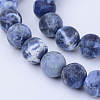 Natural Sodalite Beads Strands X-G-Q462-10mm-07-1