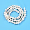 Natural Cultured Freshwater Pearl Beads Strands PEAR-N014-03C-3