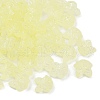 Frosted Transparent Acrylic Beads OACR-P029-18B-M-2