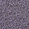 MIYUKI Delica Beads SEED-J020-DB1065-3