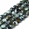Natural African Turquoise(Jasper) Beads Strands G-T108-66-1
