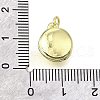 Brass Pendants KK-V007-18G-3