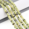 Natural Serpentine Beads Strands G-T140-50-1