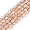Natural Cultured Freshwater Pearl Beads Strands PEAR-P064-20H-02D-2