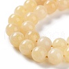 Dyed Natural Malaysia Jade Beads Strands G-G021-02C-11-3