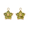 304 Stainless Steel Micro Pave Cubic Zirconia Charms STAS-B088-01G-04-1