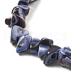 Dyed Natural Trochus Shell Beads Strands BSHE-Z006-01C-3