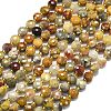 Natural Crazy Agate Beads Strands G-K389-B71-01-2