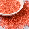 12/0 Transparent Glass Seed Beads X-SEED-F003-03C-11-1