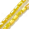 Glass Beads Strands EGLA-P052-03C-03-1