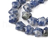 Natural Blue Spot Jasper Star Beads Strands G-Z080-A06-4