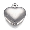 Tarnish Resistant 304 Stainless Steel Charms STAS-I166-13C-1