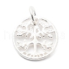 925 Sterling Silver Charms STER-S009-01C-S-1