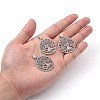 Non-Tarnish 201 Stainless Steel Pendants STAS-T046-JN269-1-5