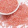 Cylinder Seed Beads X-SEED-H001-E10-1