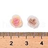 Luminous Resin Decoden Cabochons RESI-K036-06J-4