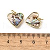 Natural Paua Shell & Epoxy Resin Charms KK-E794-02G-05-3