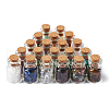 Kissitty Natural & Synthetic Gemstone Chip Beads Glass Bottles G-KS0001-02-2