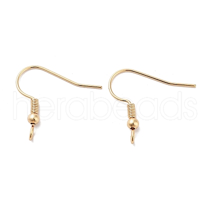 316 Surgical Stainless Steel French Earring Hooks STAS-H216-22G-1