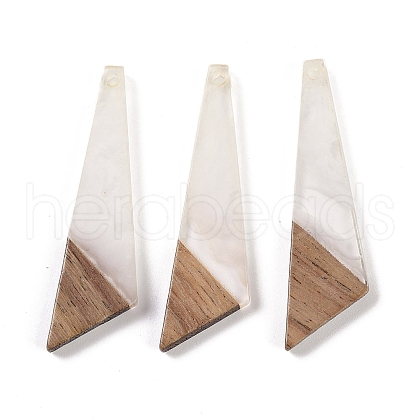 Resin & Wood Pendants WOOD-F015-15B-1