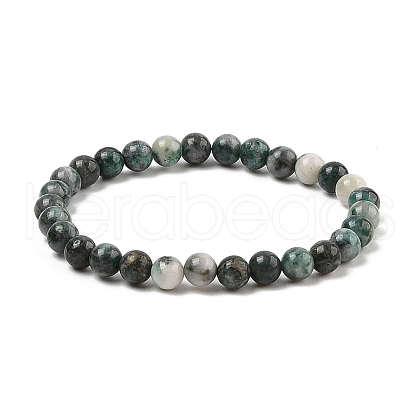 Natural Dioptase Round Beaded Stretch Bracelets BJEW-JB11195-02-1