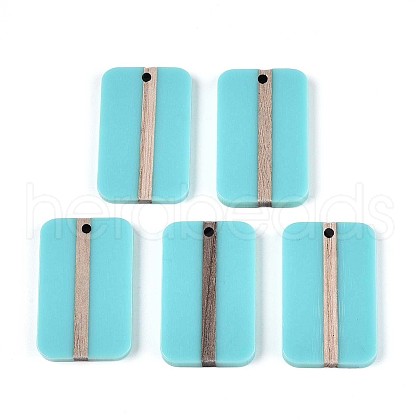 Opaque Resin & Wood Pendants RESI-T057-44A-1