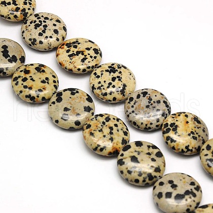 Natural Flat Round Dalmatian Jasper Beads Strands G-L246-11-1