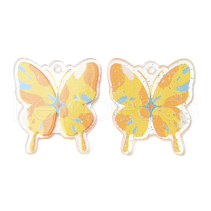 Transparent Acrylic Pendants MACR-D079-01D-1