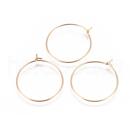 304 Stainless Steel Hoop Earrings Findings STAS-I120-60B-G-1